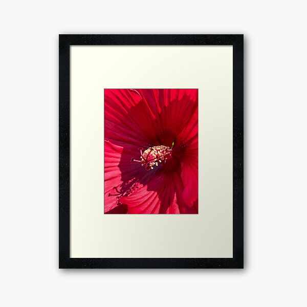 Item preview, Vibrant Magenta Flower designed and sold by Linz299.