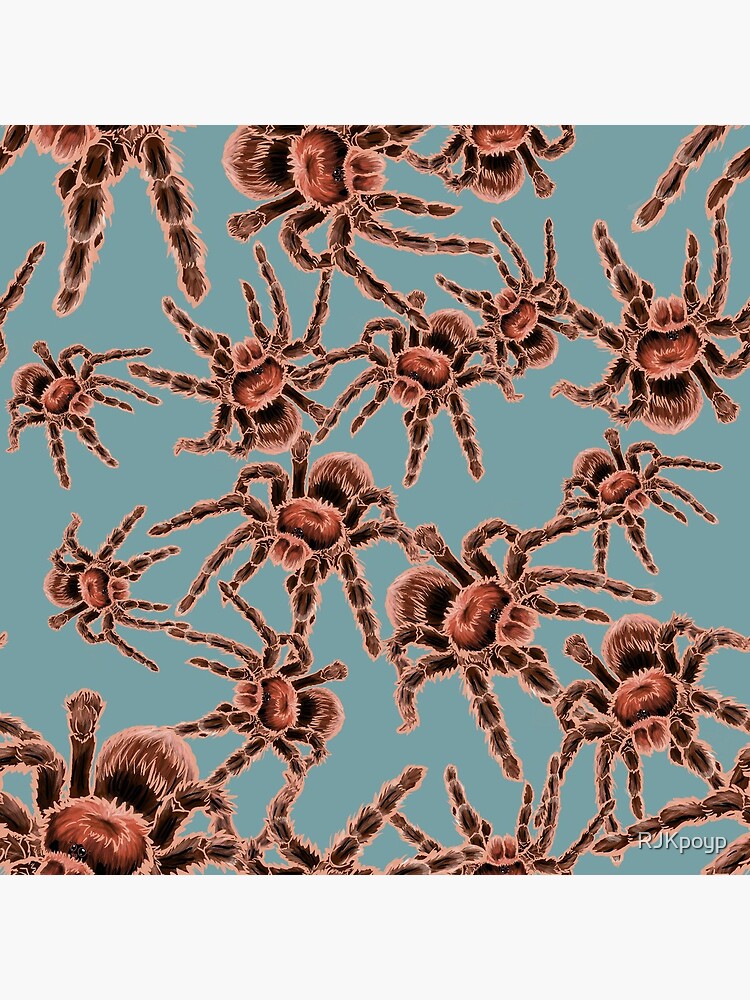 “Chilean Rose Hair Tarantula All Over Print (Blue Background)” Poster