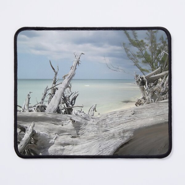 Item preview, Driftwood in Freeport Bahamas designed and sold by Elisabeth Lucas.