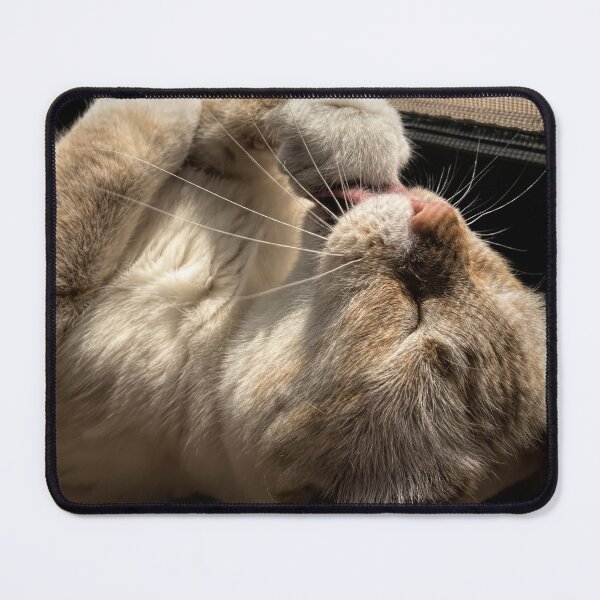 Item preview, Morning Bath designed and sold by Elisabeth Lucas.