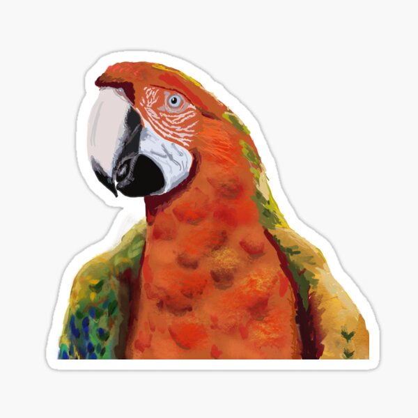 Macaw tropical parrot Sticker