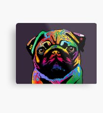 Pug Dog Metal Print