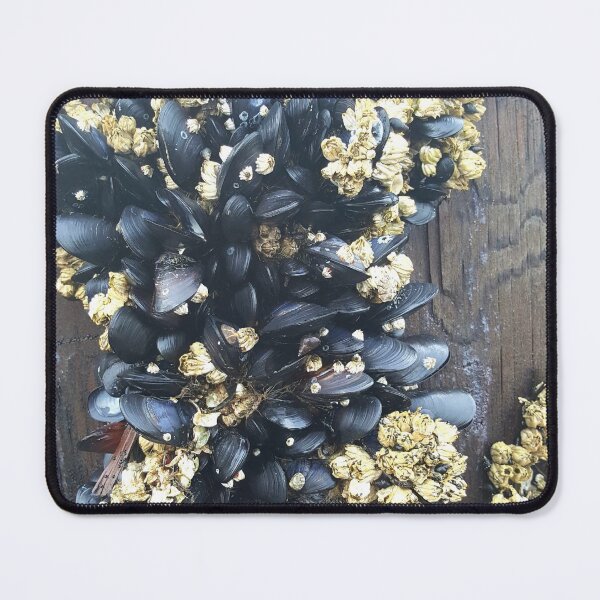 Item preview, Oysters Growing on Dock designed and sold by Krystal Thomas.