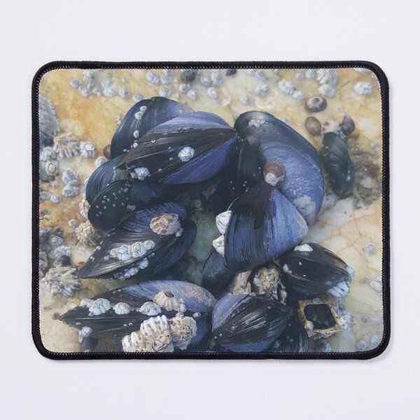 Item preview, Oysters  designed and sold by Krystal  Thomas.