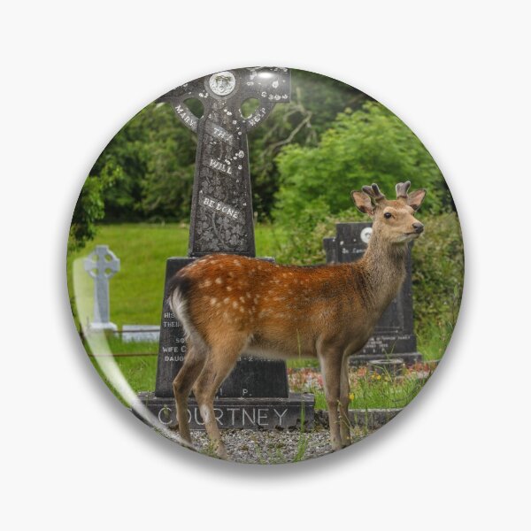 Item preview, Young deer on the Irish Graveyard of Muckross Abbey, an Old Irish Monastery in Killarney National Park designed and sold by AlbertMi.