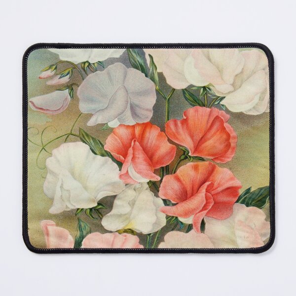 Item preview, Vintage Seed Pack Botanical Art  designed and sold by Joanne Pane.