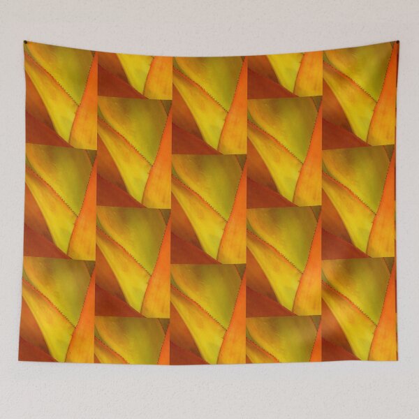 Item preview, Orange Bromeliad Up Close designed and sold by Robert Kelch, M.D..