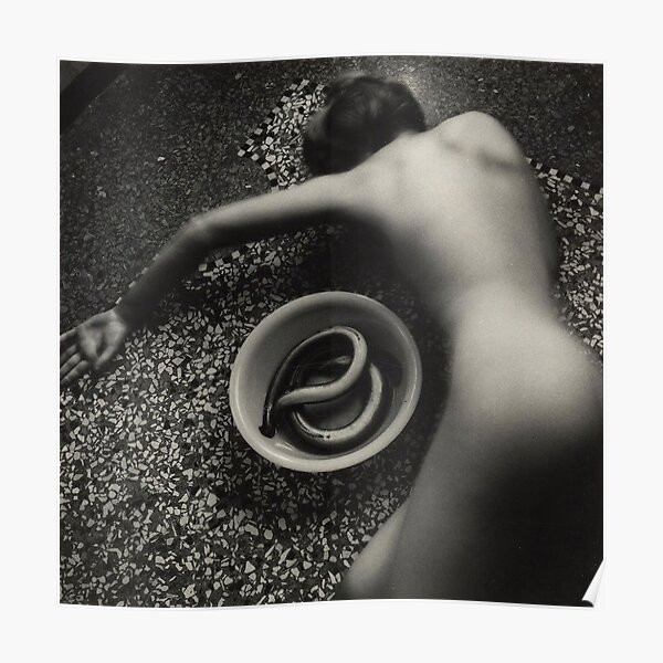 Francesca Woodman - Eel Poster