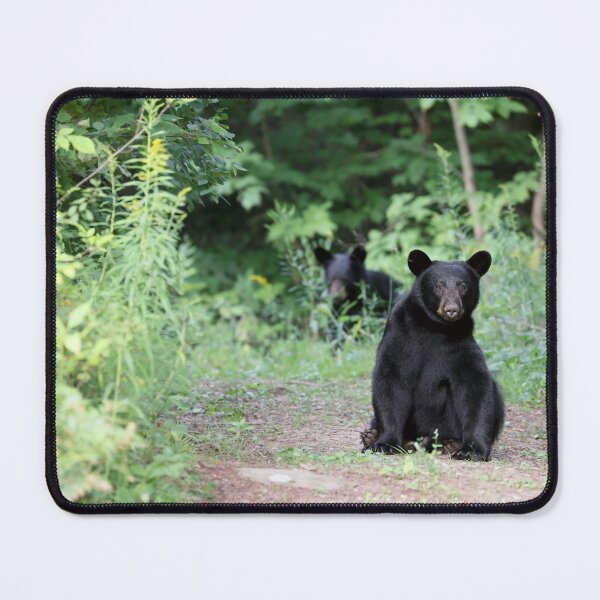 Item preview, Black Bears designed and sold by mlorenz.