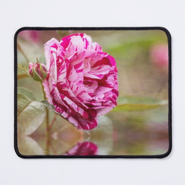 Item preview, Rose Reflection designed and sold by Elisabeth Lucas.