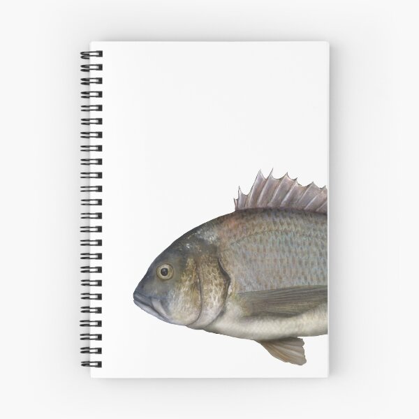 Item preview, Bream designed and sold by RawPrawnArt.