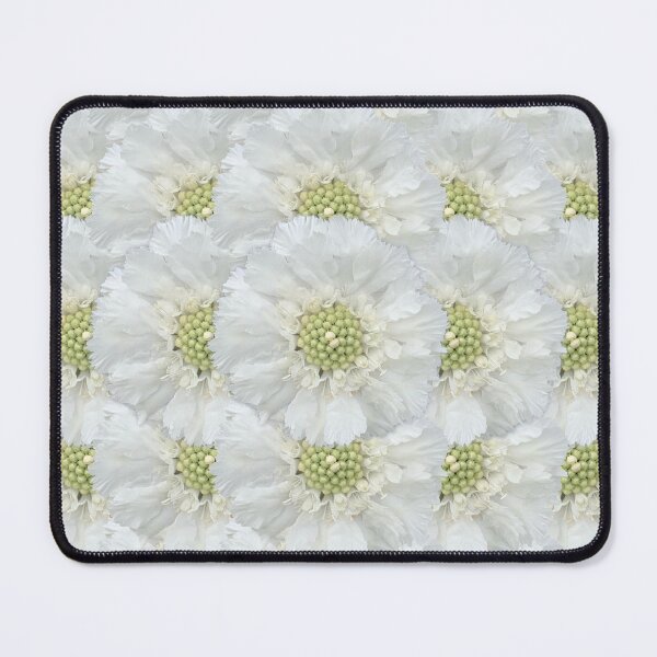 Item preview, White Scabious Flower Still Life Floral Photography designed and sold by CottoVerdi.