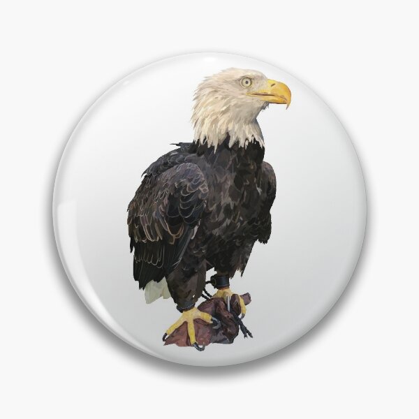 Item preview, Bald eagle designed and sold by obscurite.