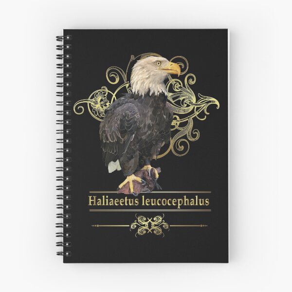 Artikelvorschau, Weißkopfseeadler entworfen und verkauft von obscurite.
