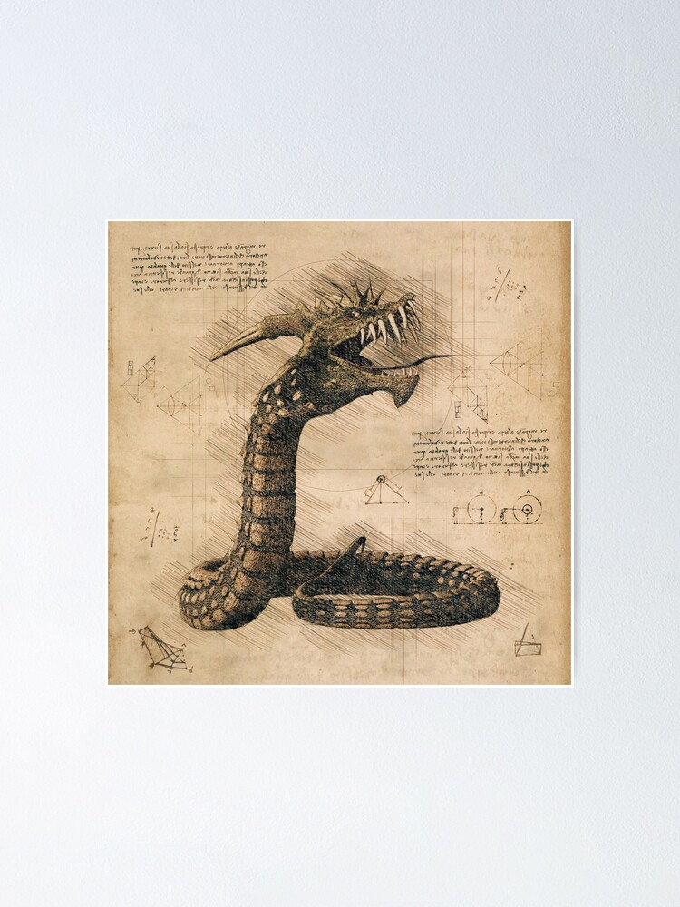 Dragon Digital Download Mythical Medieval Serpents Dragons 