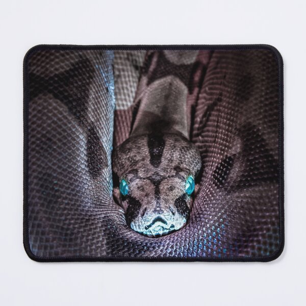 Item preview, Magnificient Snake watching  designed and sold by TALAT-SHOPS.