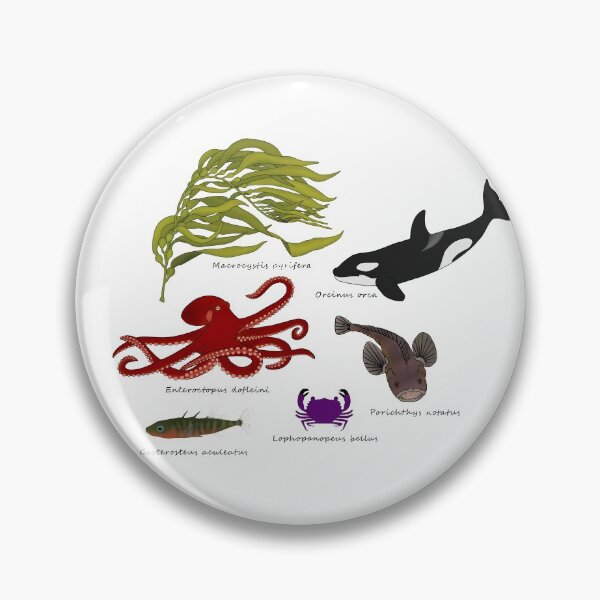 Item preview, Marine Species of the Pacific Northwest designed and sold by WestCoastWoods.