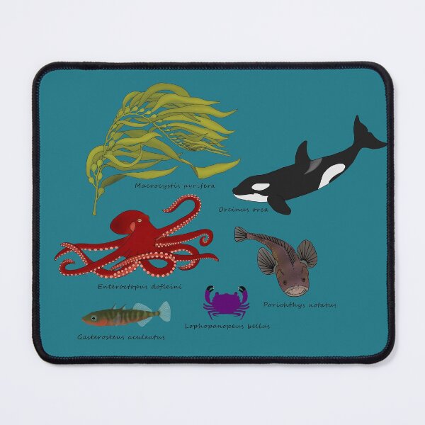 Item preview, Marine Species of the Pacific Northwest designed and sold by WestCoastWoods.