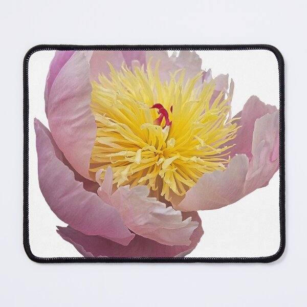 Item preview, Peony Flower designed and sold by DesignMore21.
