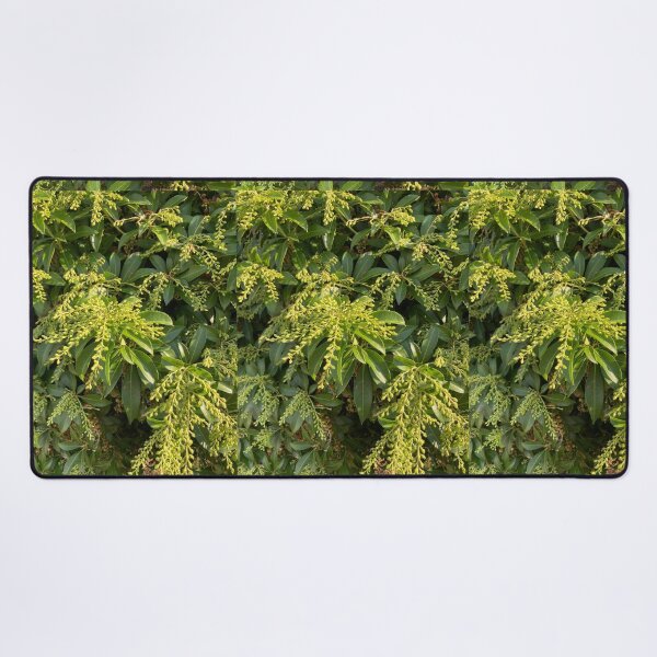 Item preview, Foliage designed and sold by Amanda1775.