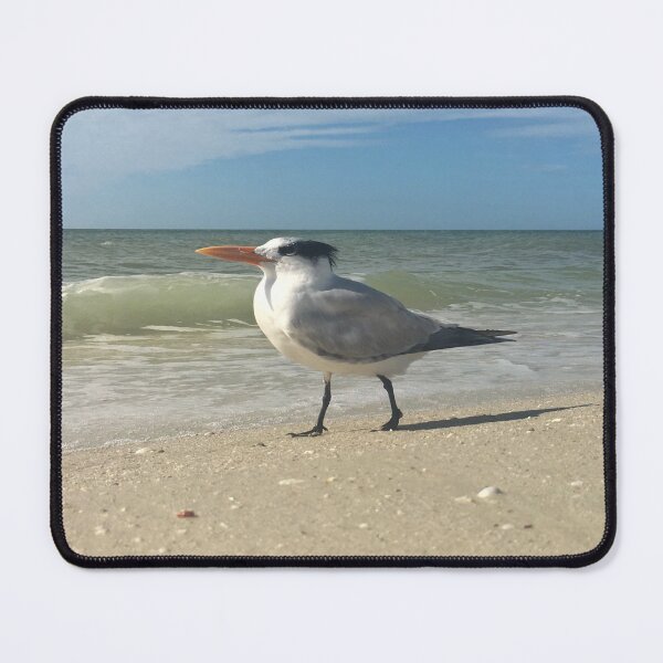 Item preview, Sea Tern at the Sea  designed and sold by FreeRoseJ.