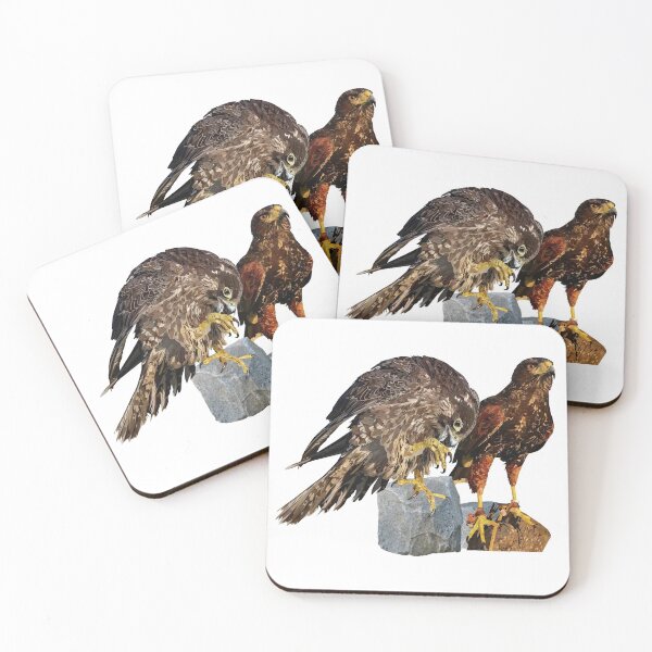 Item preview, Peregrine Falcon and Harris's Eagle designed and sold by obscurite.