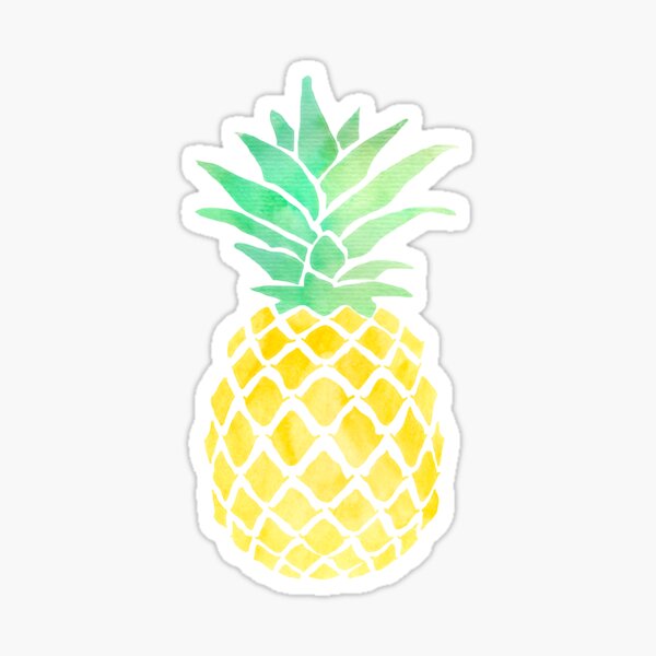 pineapple stickers for hydro flask