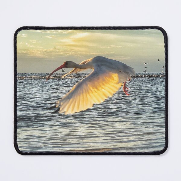 Item preview, Ibis in Flight  designed and sold by FreeRoseJ.