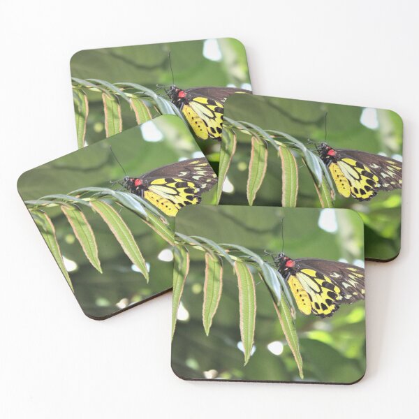 Item preview, Beautiful Butterfly designed and sold by NikkandNellz.