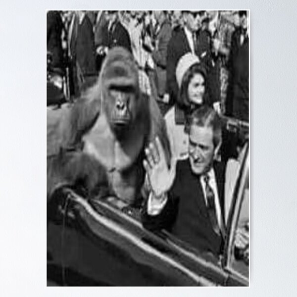 Artikel-Vorschau von rip harambe jfk, designt und verkauft von earlstevens.