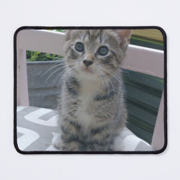 Item preview, Tiger in chair designed and sold by AlphaGalGardenGirl.