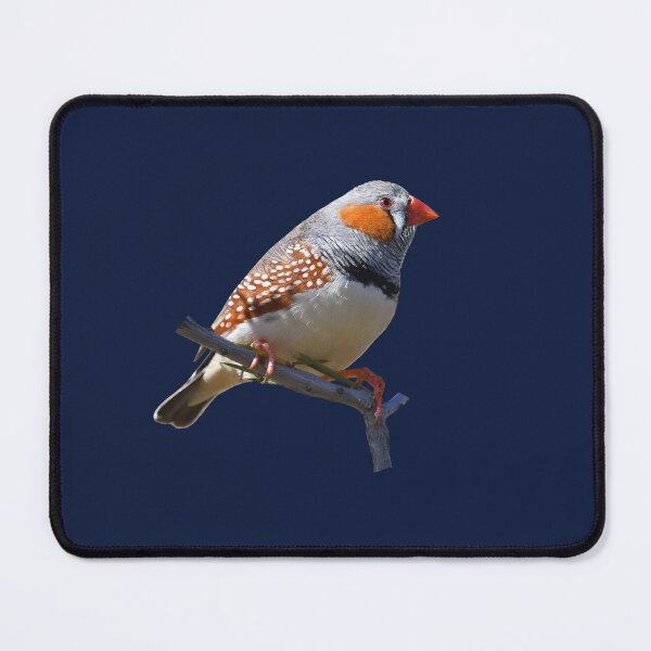 Item preview, Zebra Finch 4 designed and sold by quentinjlang.