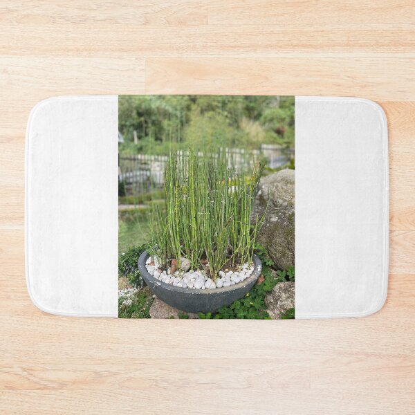Item preview, LUCKY BAMBOO designed and sold by iAmmAja43.
