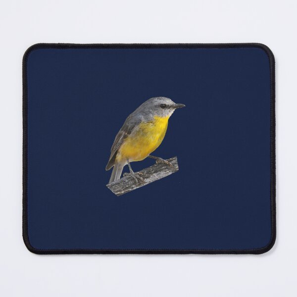 Eastern Yellow Robin 2 Mouse Pad