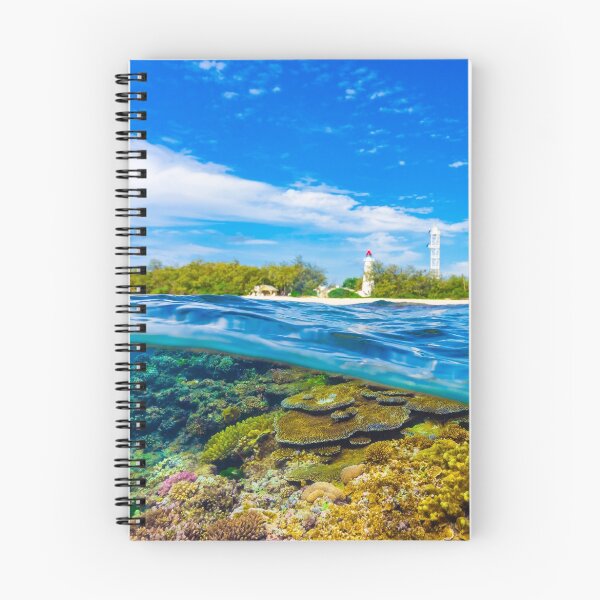 Aperçu de l'œuvre Lady Elliot Island créée et vendue par colindavisphoto.
