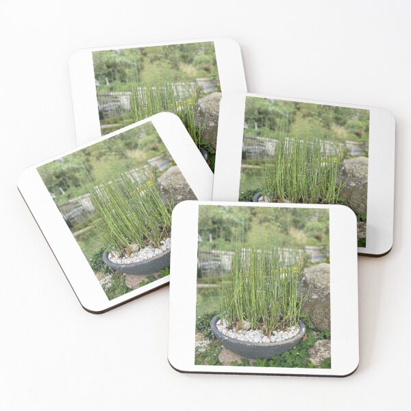 Item preview, LUCKY BAMBOO designed and sold by iAmmAja43.