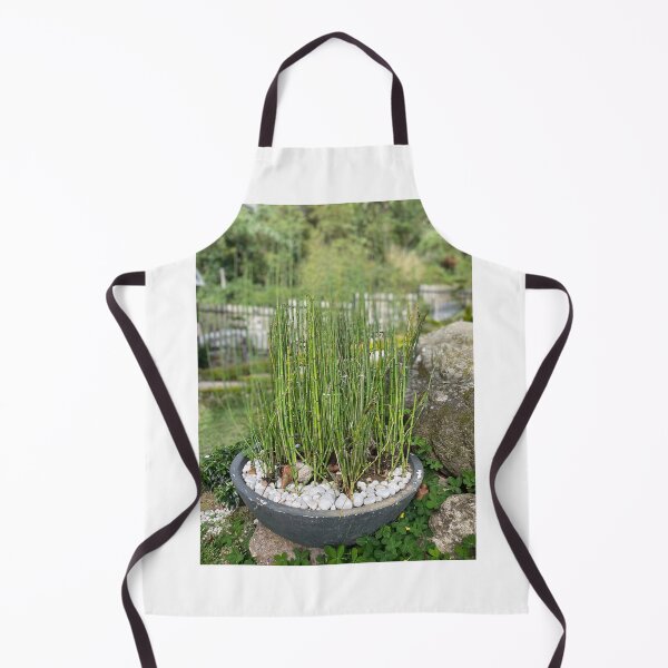 Item preview, LUCKY BAMBOO designed and sold by iAmmAja43.