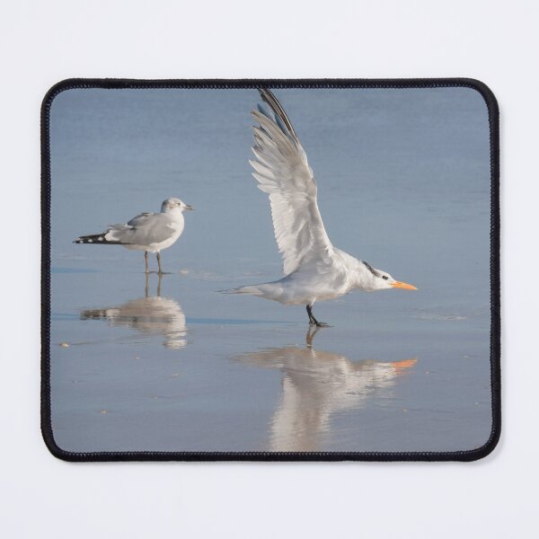 Item preview, Two seagulls with their reflections designed and sold by Zina Stromberg.
