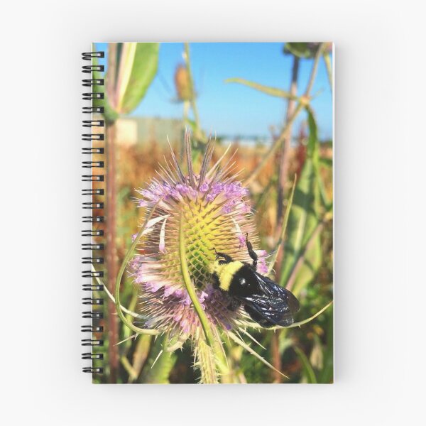 Item preview, Bee and Thistle  designed and sold by Bellefleurista.