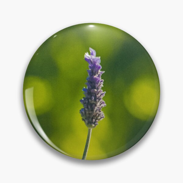 Item preview, Yellow lavender plant with flowers and buds designed and sold by Jason Gilbert.