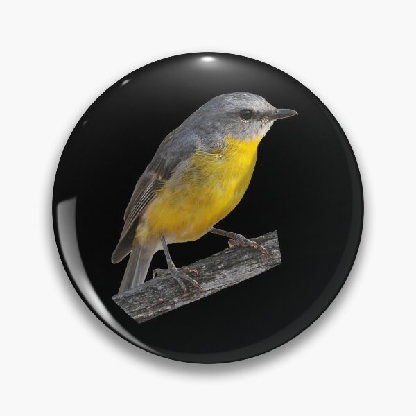 Item preview, Eastern Yellow Robin 8 designed and sold by quentinjlang.