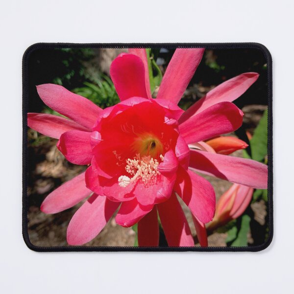 Item preview, Epiphyllum Flower designed and sold by Douglas E. Welch Design and Photography.