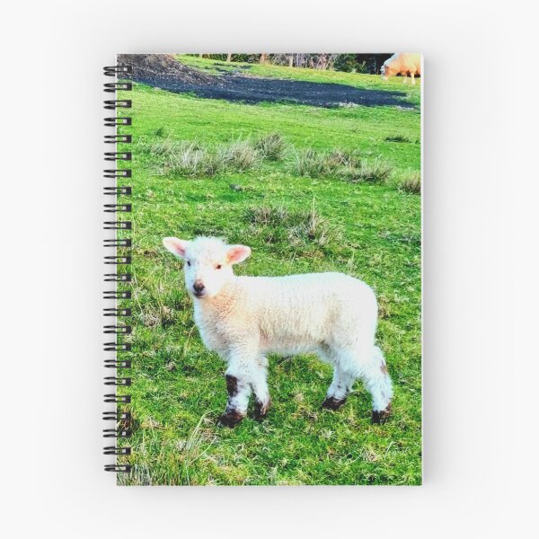Item preview, HAPPY BABY LAMB AT MAUAO designed and sold by Steffi August.