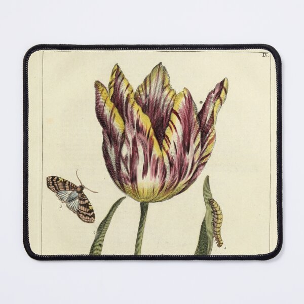 Item preview, Vintage Tulip Print from Nederlandsch bloemwerk (1794) designed and sold by Douglas E. Welch Design and Photography.