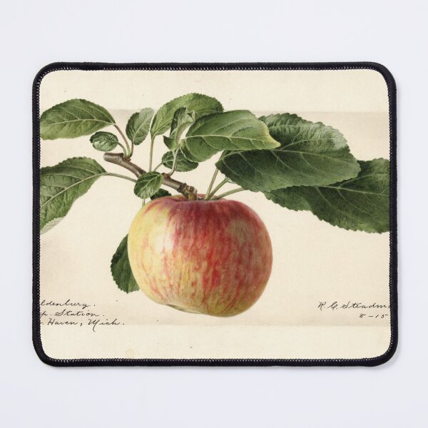 Item preview, Vintage Oldenburg Apples Print designed and sold by Douglas E. Welch Design and Photography.