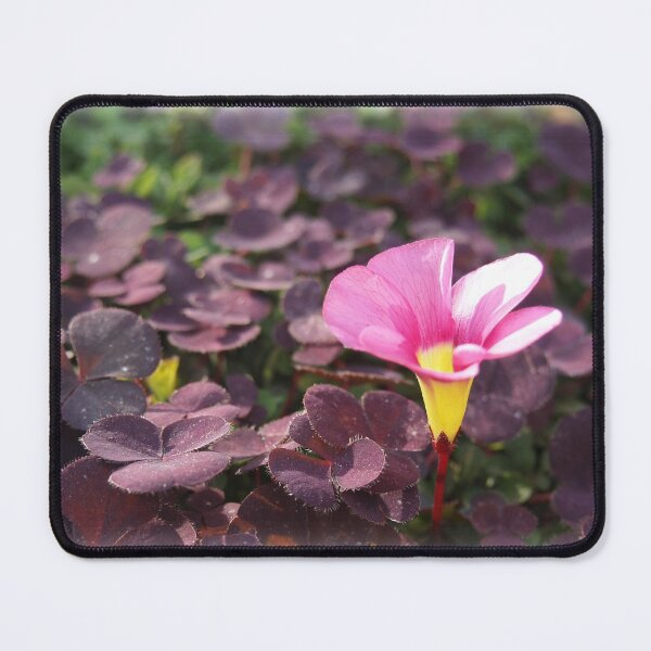 Item preview, Pink Oxalis Flower designed and sold by Douglas E. Welch Design and Photography.