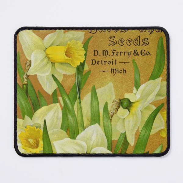 Item preview, Vintage Daffodils designed and sold by Douglas E. Welch Design and Photography.