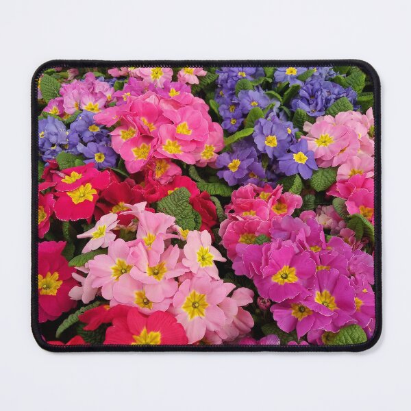 Item preview, Colorful Springtime Medley of Primula Flowers designed and sold by walkswithnature.