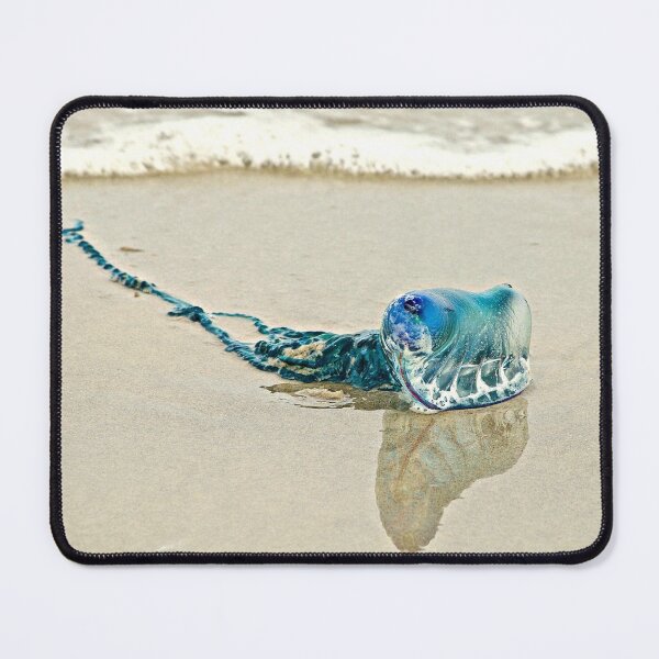 Item preview, Portuguese Man Of War designed and sold by Linda Bianic.