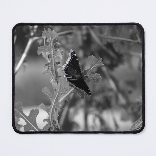 Item preview, Blue Butterfly designed and sold by PicsByDerek.
